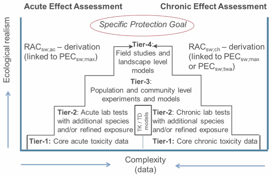 EFSA Aquatic Tier4 RA